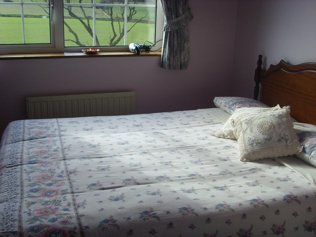 Springfield House B&B Clonakilty Rom bilde